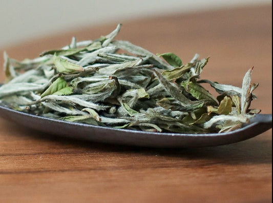 white peony baimudan white tea