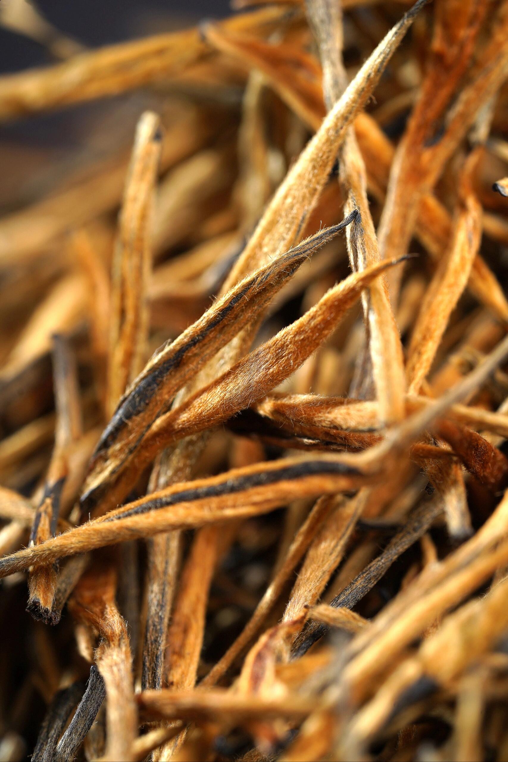 this is Chinese Yunnan Gushu black tea