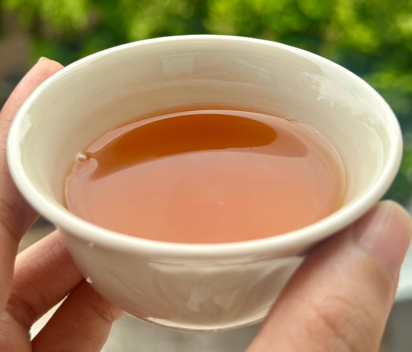 Chinese Organic Tibet Medog Black Tea First Spring Pick-up High Mountain Motuo Red Tea 50g