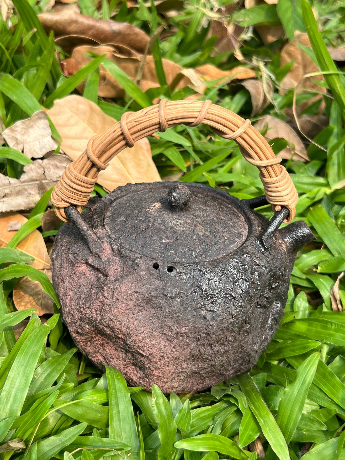 This is a pottery lifting handle kettle