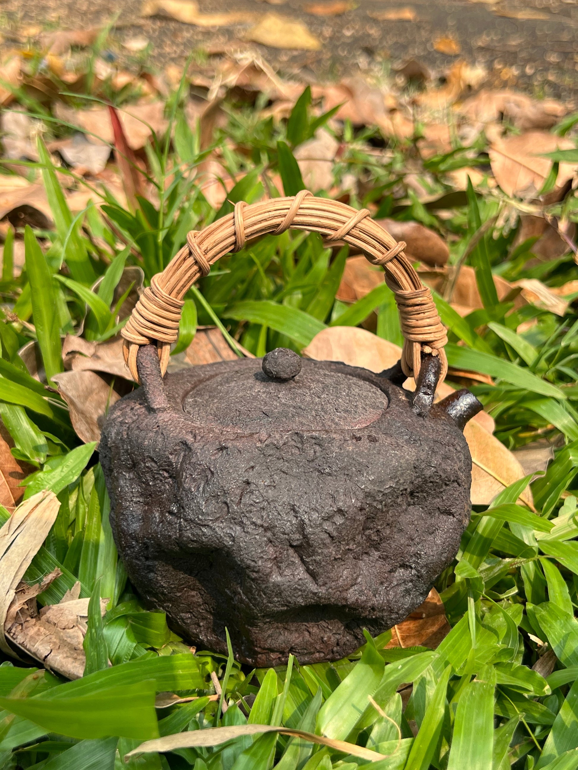 This is a pottery lifting handle kettle