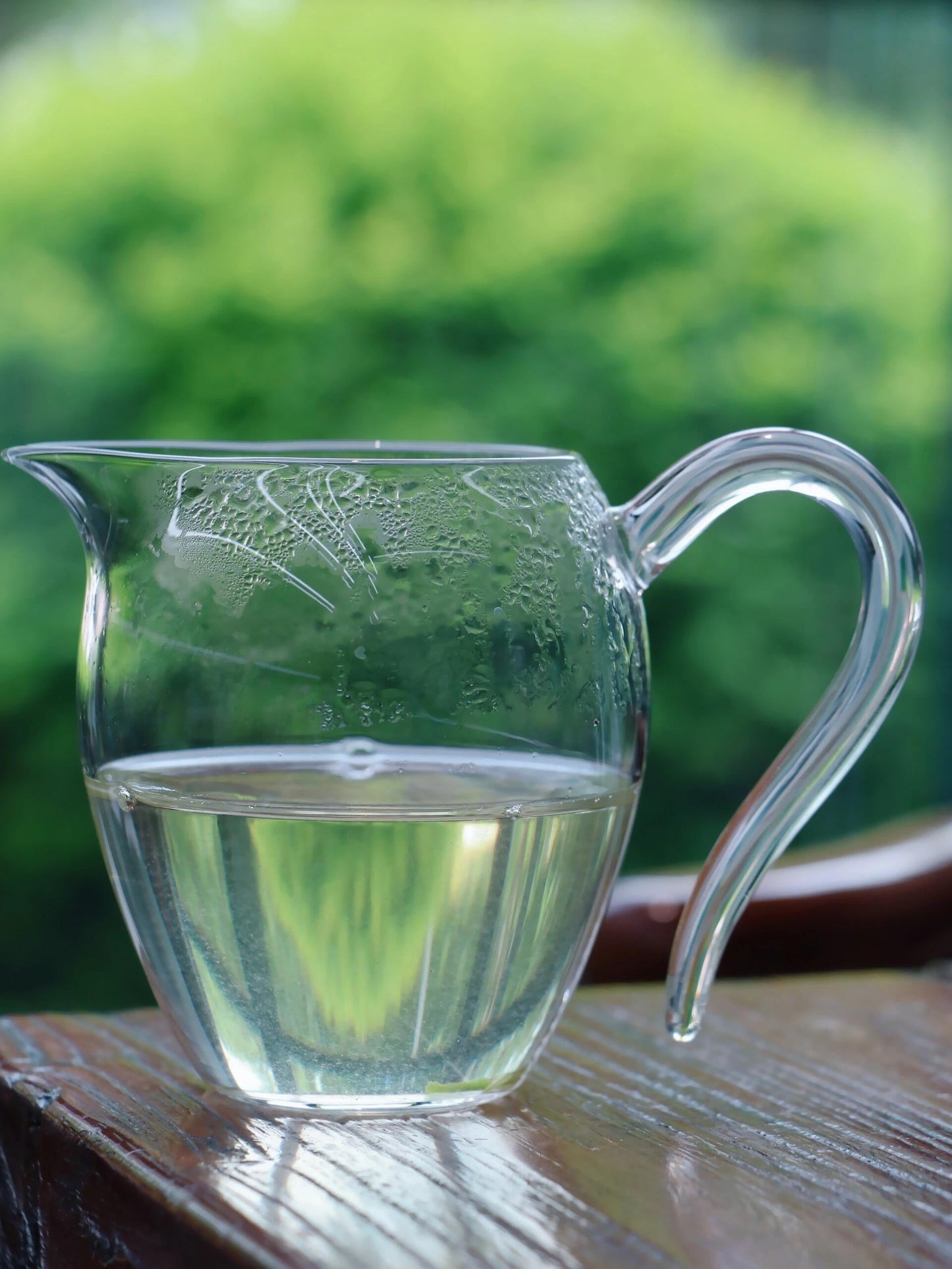 Chinese Green Tea Xinyang Maojian High Mountain Spring Tea