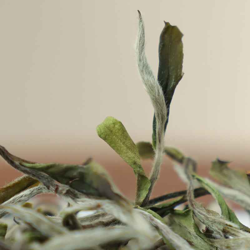 This is Chinese white peony baimudan white tea