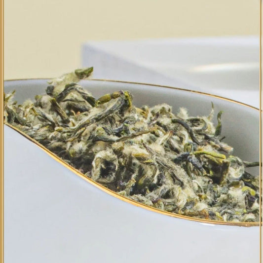 Chinese green tea making craft biluochun