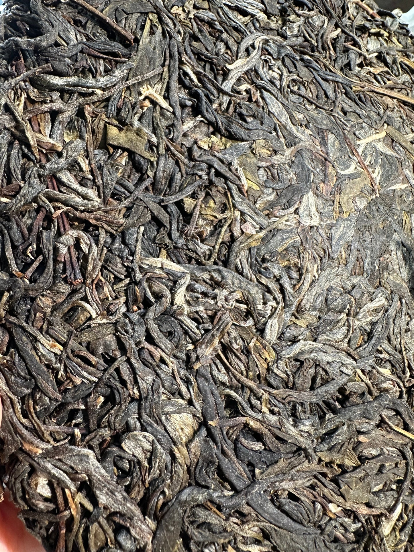 this is Chinese Yunnan Gushu raw puerh tea Sheng Puerh