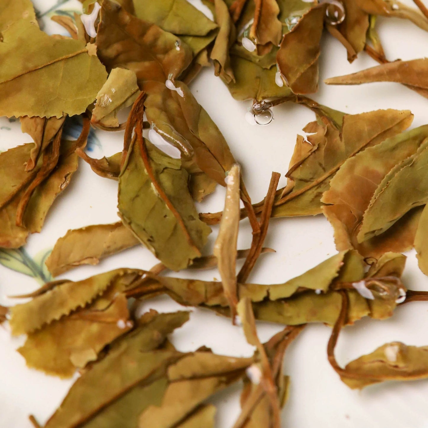 2019 Precious Gongmei White Tea Purple Bud Unique Floral Cai Cha