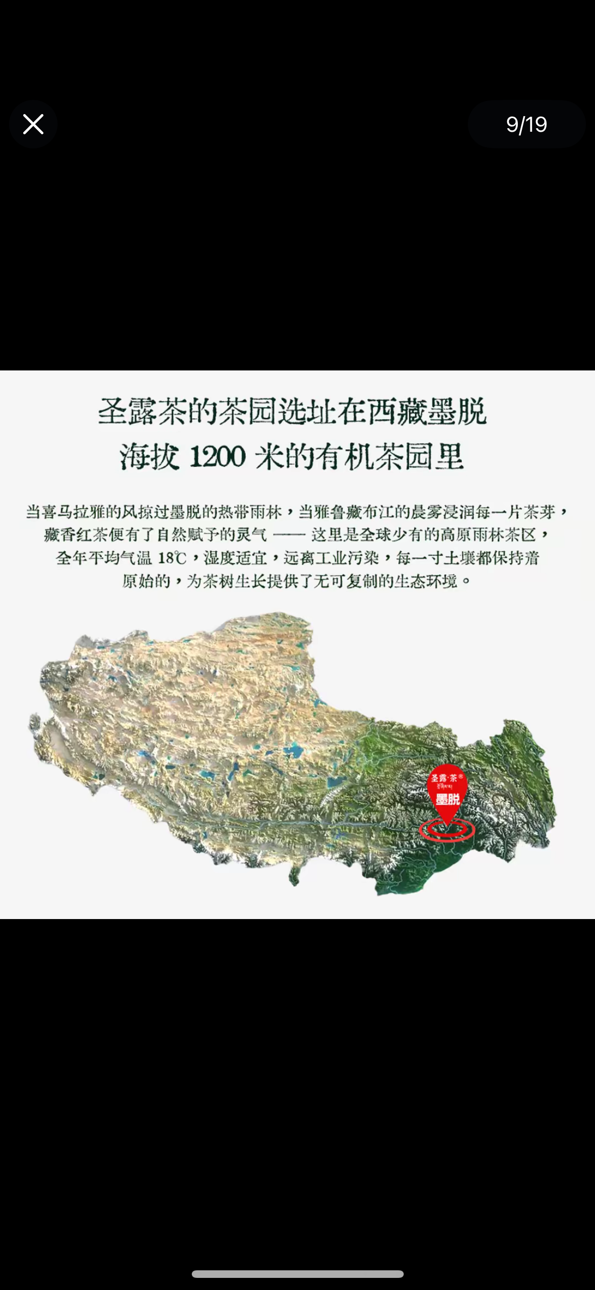 High-end Premium 100% Organic Chinese Tibet Medog White Peony White Tea Baicha 80g