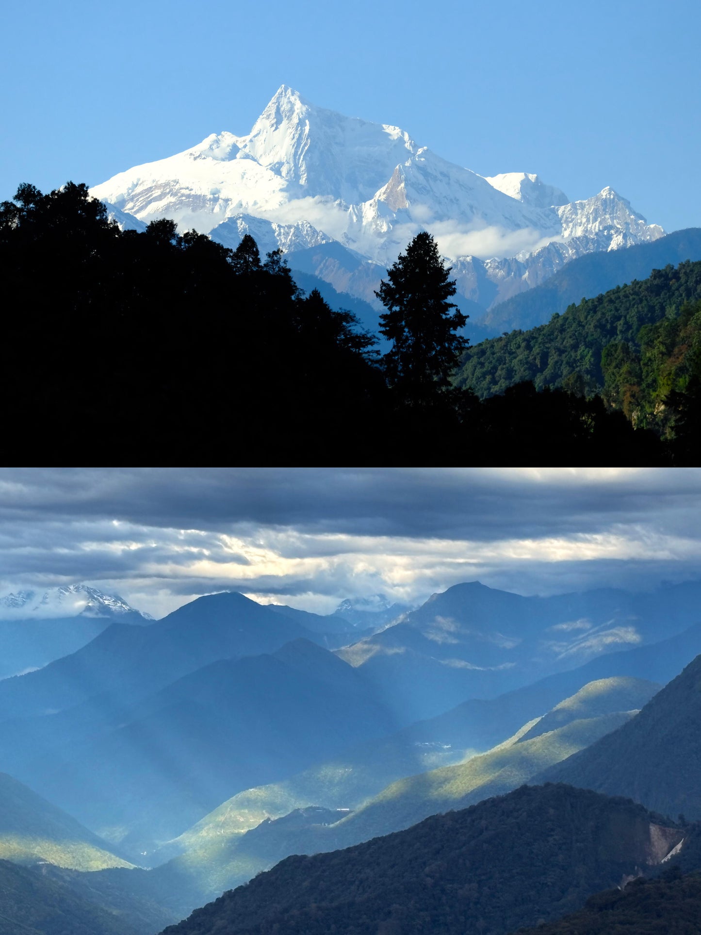 Wild Organic Chinese Tibet Medog Black Tea High-end Red Tea 60g