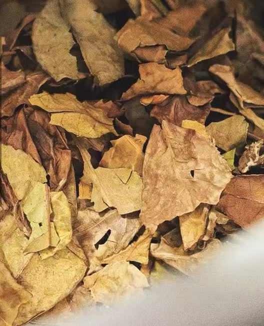 2014 Aged Fuding White Tea Wild Caicha Shoumei