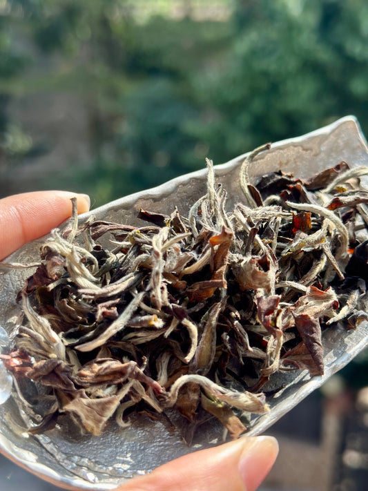 High-end Premium 100% Organic Chinese Tibet Medog White Peony White Tea Baicha 80g