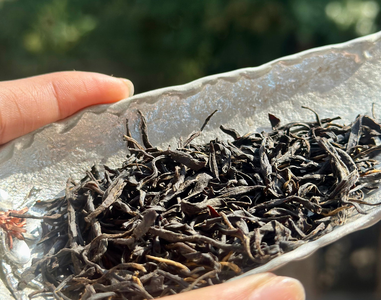 Wild Organic Chinese Tibet Medog Black Tea High-end Red Tea 60g