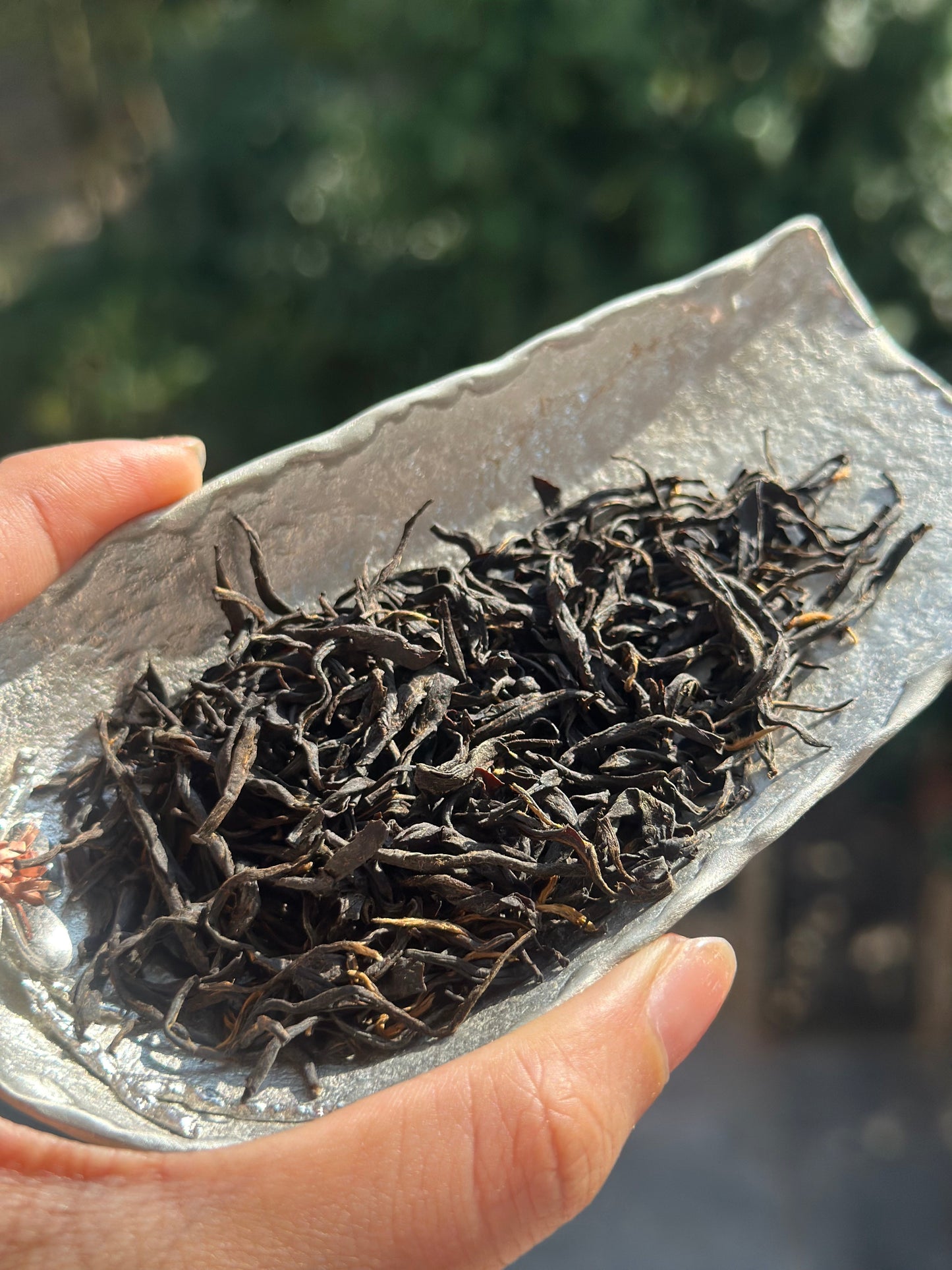 Wild Organic Chinese Tibet Medog Black Tea High-end Red Tea 60g
