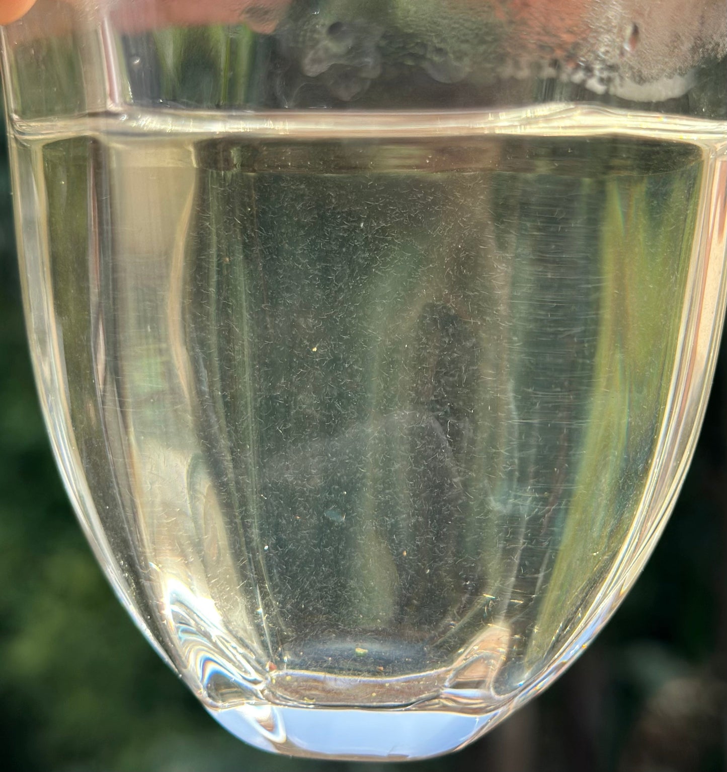 Organic Chinese Tibet Medog Premium Green Tea Motuo High-class Tea