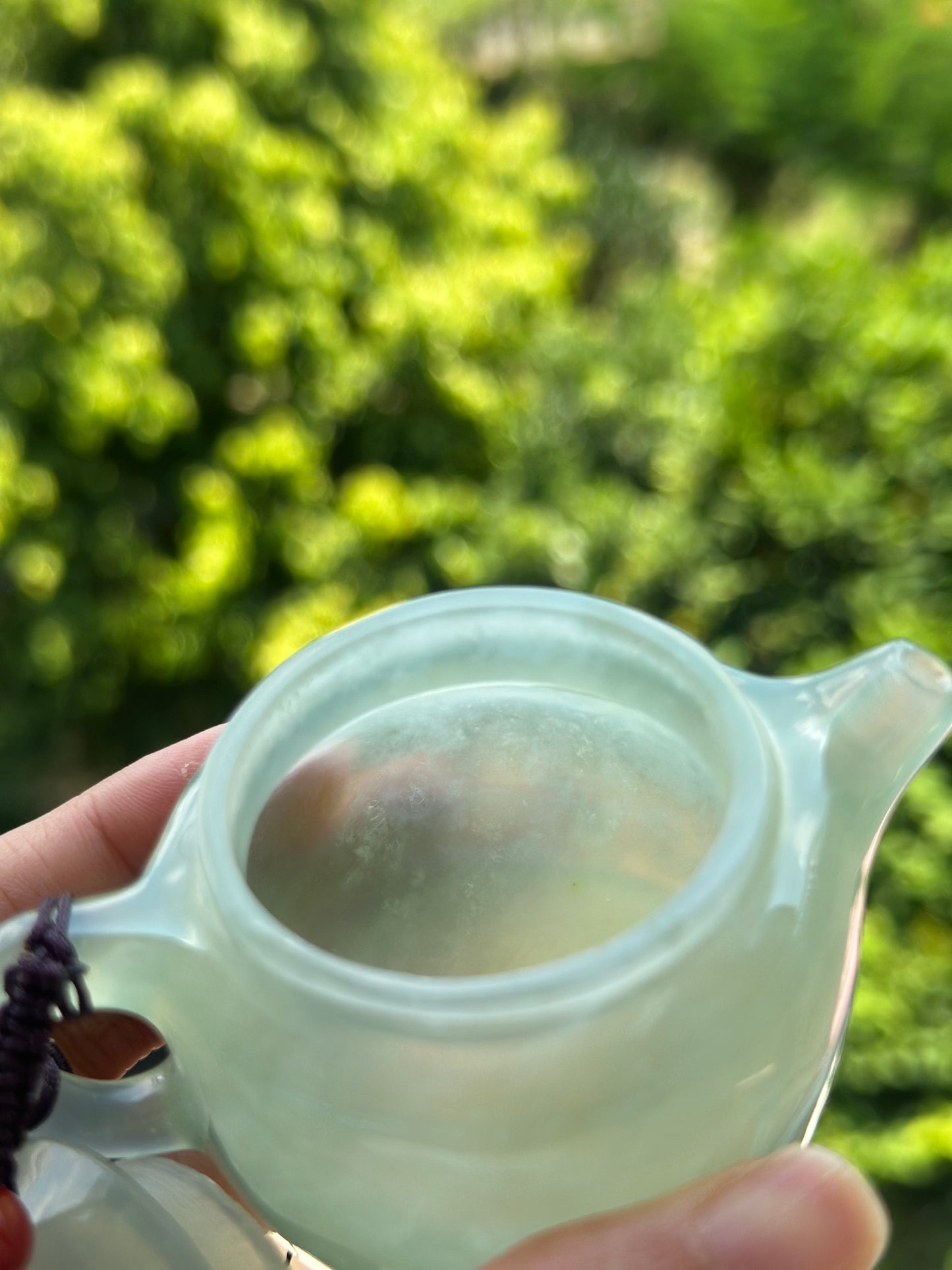 Handcrafted Chinese Xiuyu Authentic Jade Mini Dezhong Shape Teapot Unique Artwork Jade Pot
