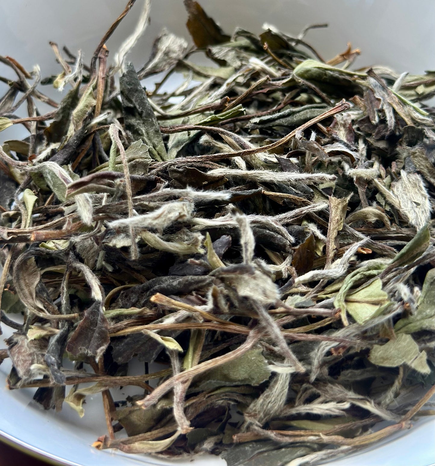 2019 Aged First Piack-up Harvest Organic Baimudan Laocong Old Tea Bush Panxi  Organic Wild White Peony White Tea Baicha
