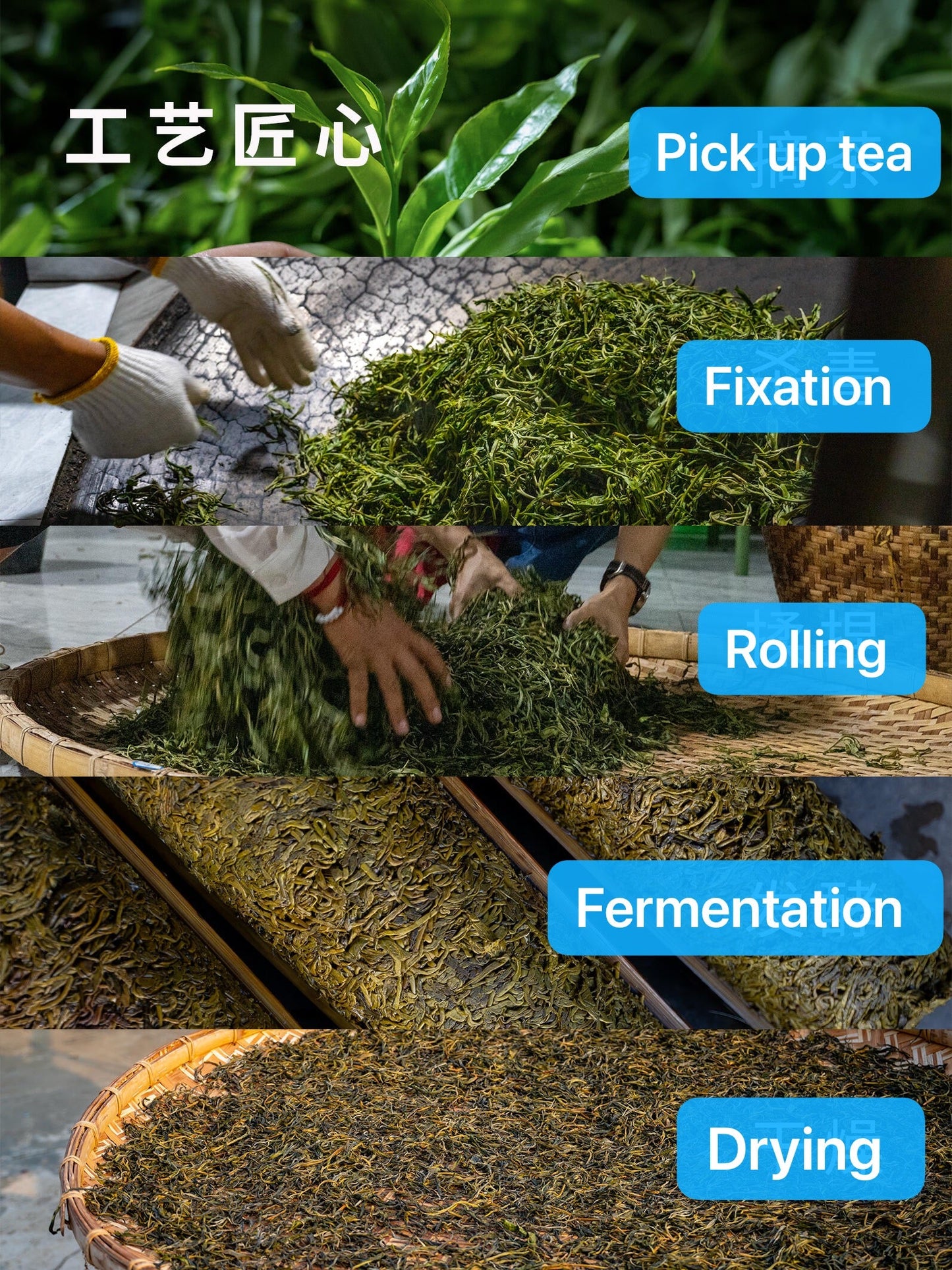 Chinese Yunnan De'ang Minority Traditional Sour Tea Fermented Acid Tea