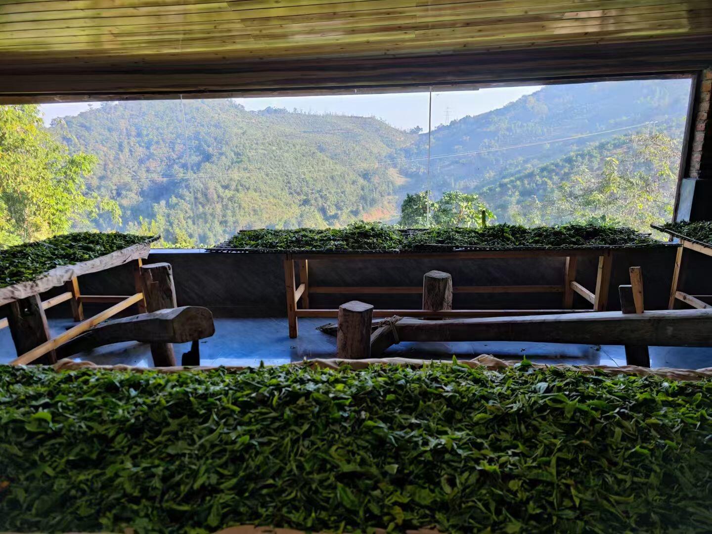 Chinese Yunnan De'ang Minority Traditional Sour Tea Fermented Acid Tea