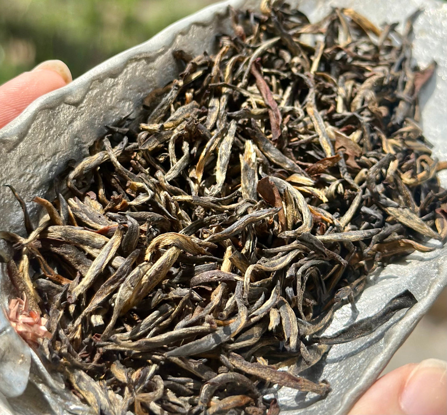 Premium Wuyi Mountain Tongmuguan Black Tea Authentic Jinjunmei Supreme Grade First Spring Pick-up Harvest High-end Chinese Red Tea