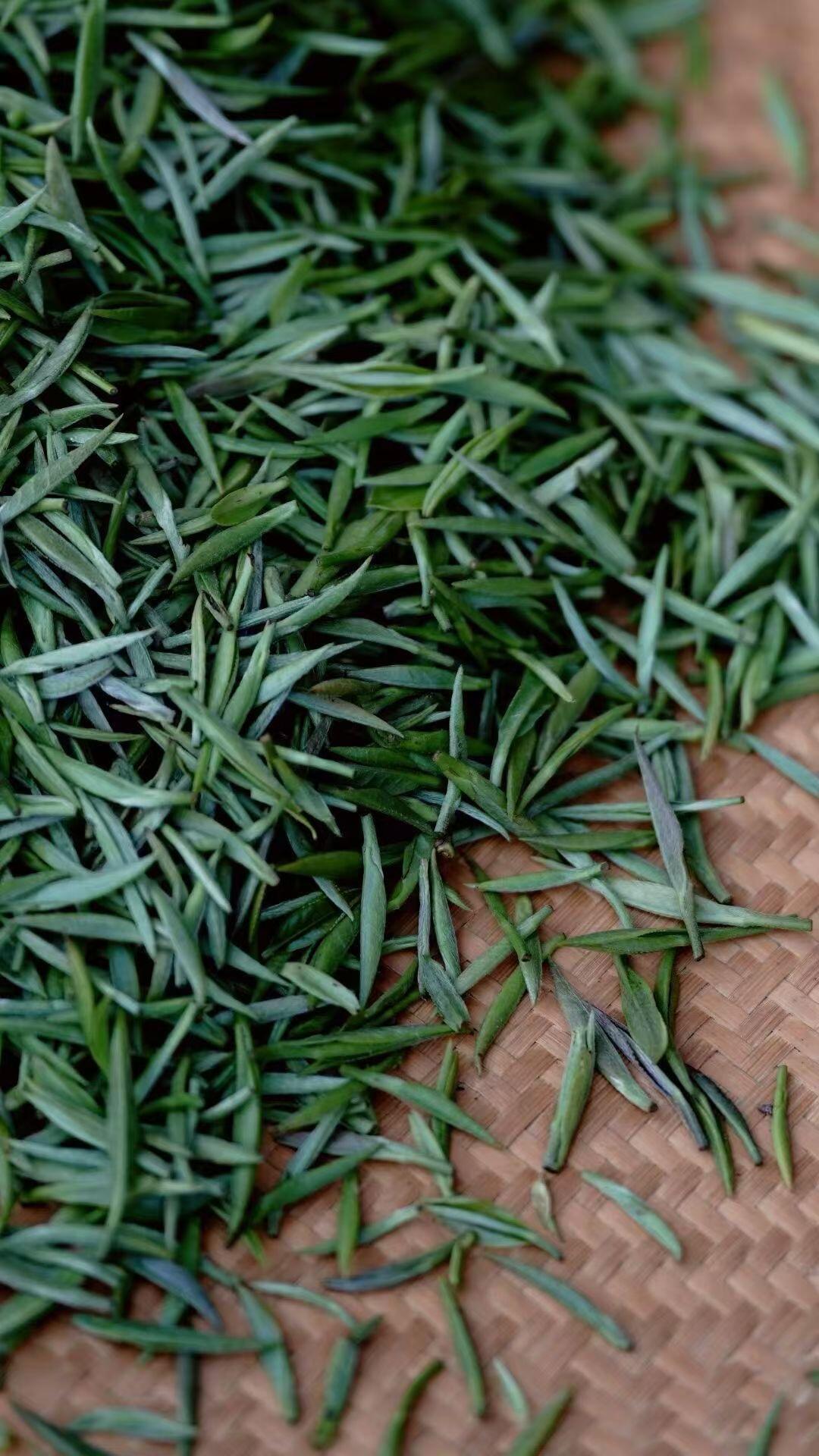 Premium Wuyi Mountain Tongmuguan Black Tea Authentic Jinjunmei Supreme Grade First Spring Pick-up Harvest High-end Chinese Red Tea