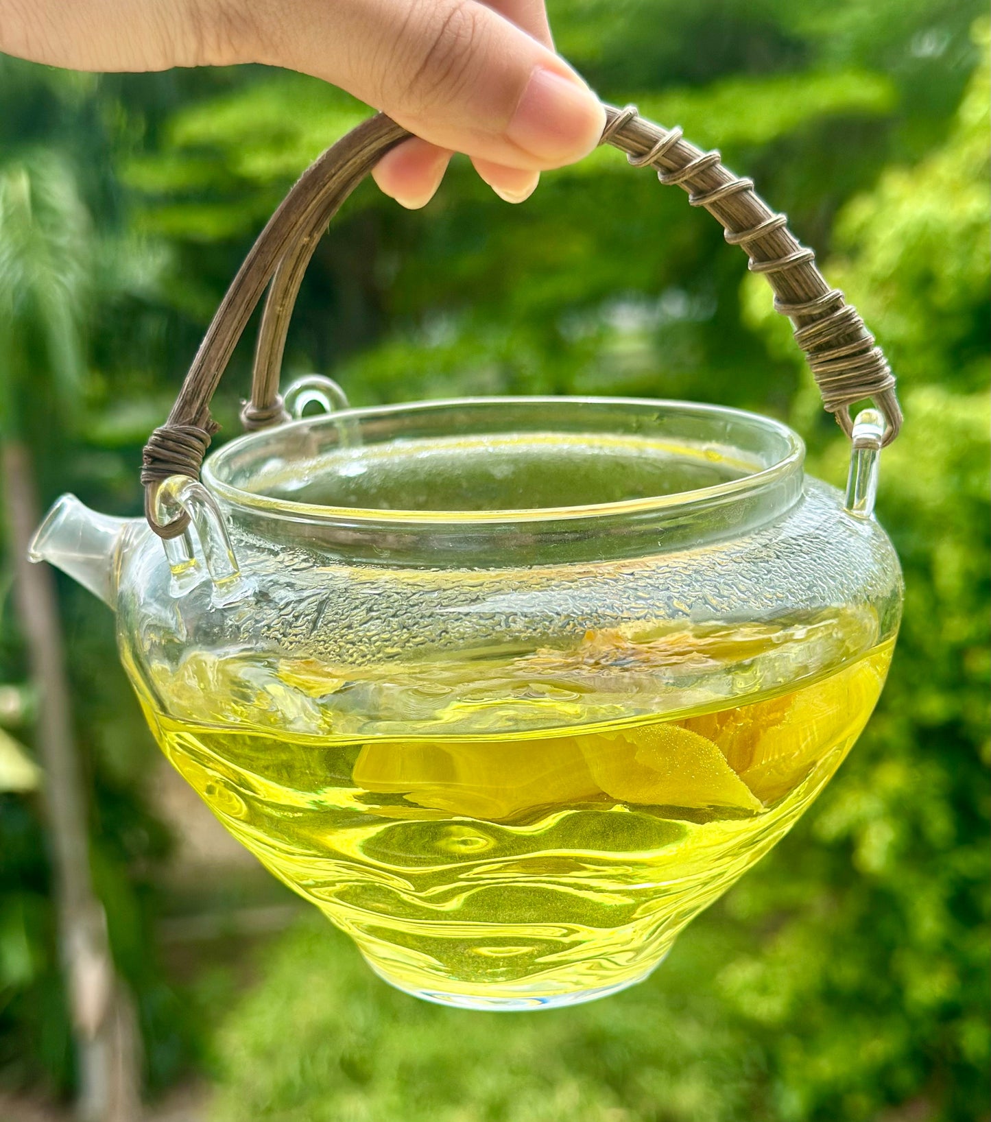 Chinese Organic Super Precious Altitude 3400m Wild Tibet Yellow Peony Fresh Dried Flower Detox Tea 8g