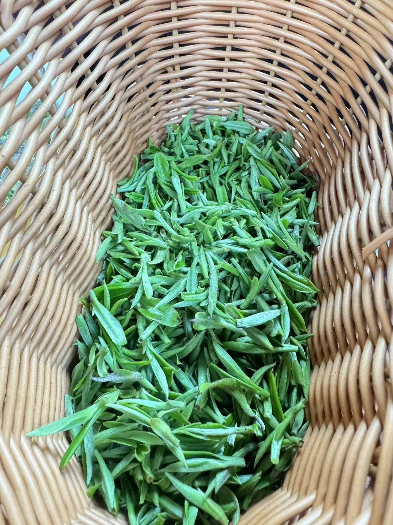 Chinese Taihu Green Bamboo Green Tea Spring Tea China Loose Tea Leaf